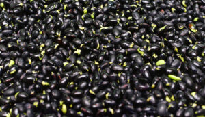 The Humble Bean: Black Beans