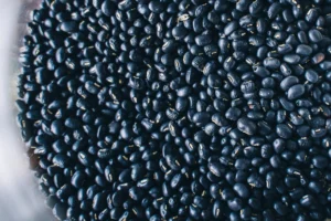 The Humble Bean: Black Beans
