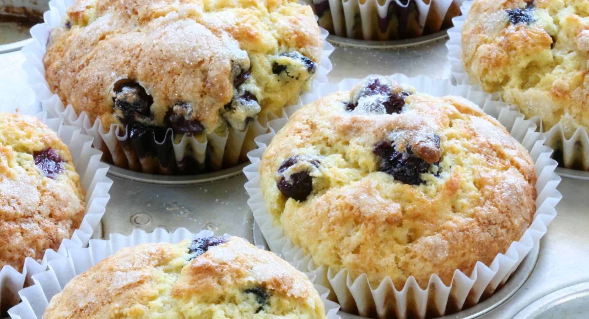 Blueberry Lemon Ricotta Muffins