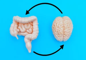 The Gut-Brain Axis: What is it?