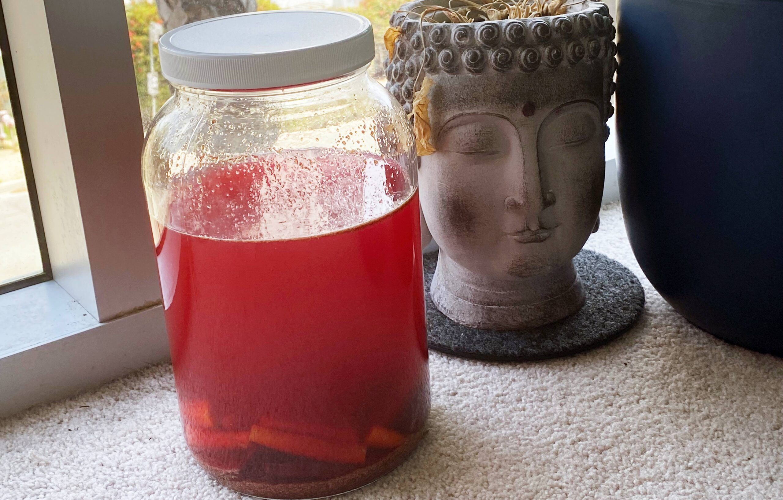 Indian Kombucha (Kanji)