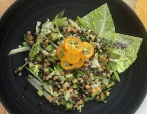 Ancient Grains, Lentils and Israeli Couscous Salad